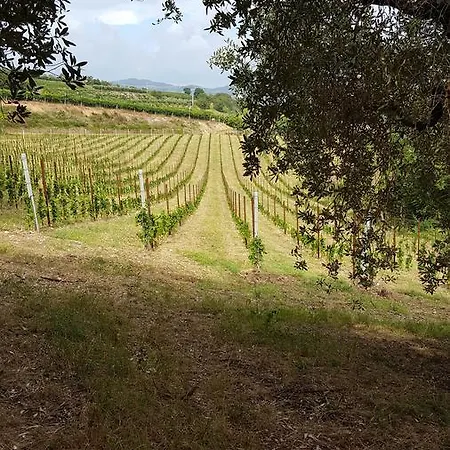 Corte Galo 3* Tregnago